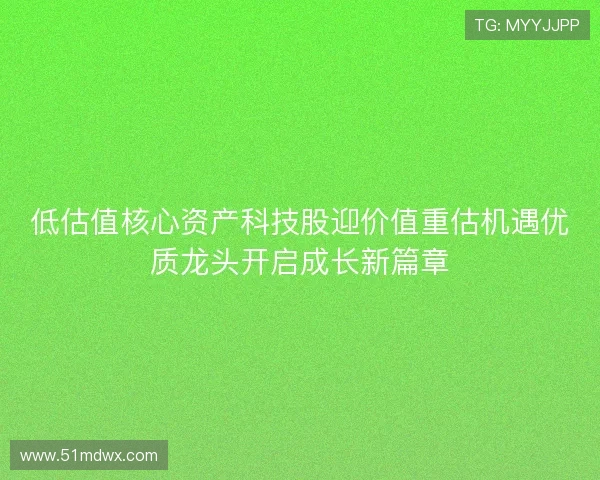 低估值核心资产科技股迎价值重估机遇优质龙头开启成长新篇章